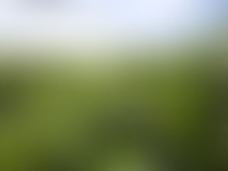 Conselho Monetário Nacional apresenta novas regras sobre o crédito rural