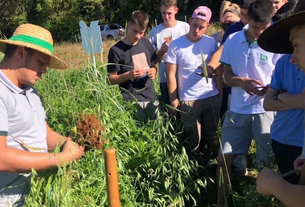 Projetos em Minas do Camaquã, apoio na revisão curricular das escolas agrícolas e eventos formativos ampliam o alcance e a atuação da associação no Estado (Foto: Divulgação)