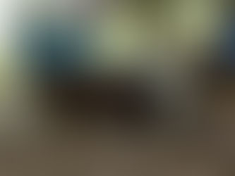 Hereford e Braford têm crescimento de médias nas vendas de primavera