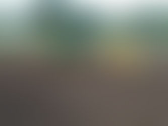 Área da Abertura Oficial da Colheita do Arroz está sendo preparada