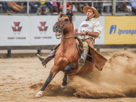 Bocal de Ouro premia trabalho de novos criadores da raça Crioula