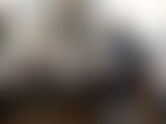 Sumário de Touros da Conexão Delta G é lançado com novidades