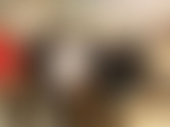 Leilão Espinilho e Soldera tem médias gerais de R$ 12,3 mil nos touros