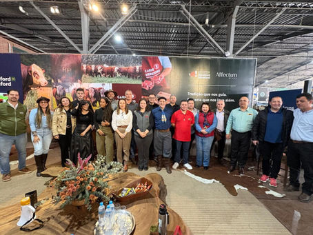 Carne Hereford treina açougueiros e amplia ações no varejo