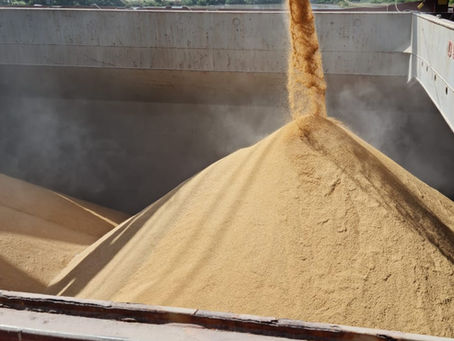 Importância do Brasil na alimentação mundial será tema de debate na Abertura da Colheita