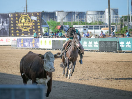 Final Nacional do Crioulaço abre ciclo da raça Crioula em 2023