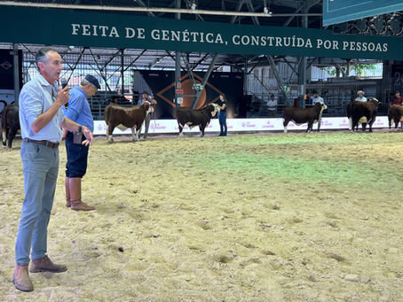 Julgamento na prática: curso da ABHB encerra com leitura de pista