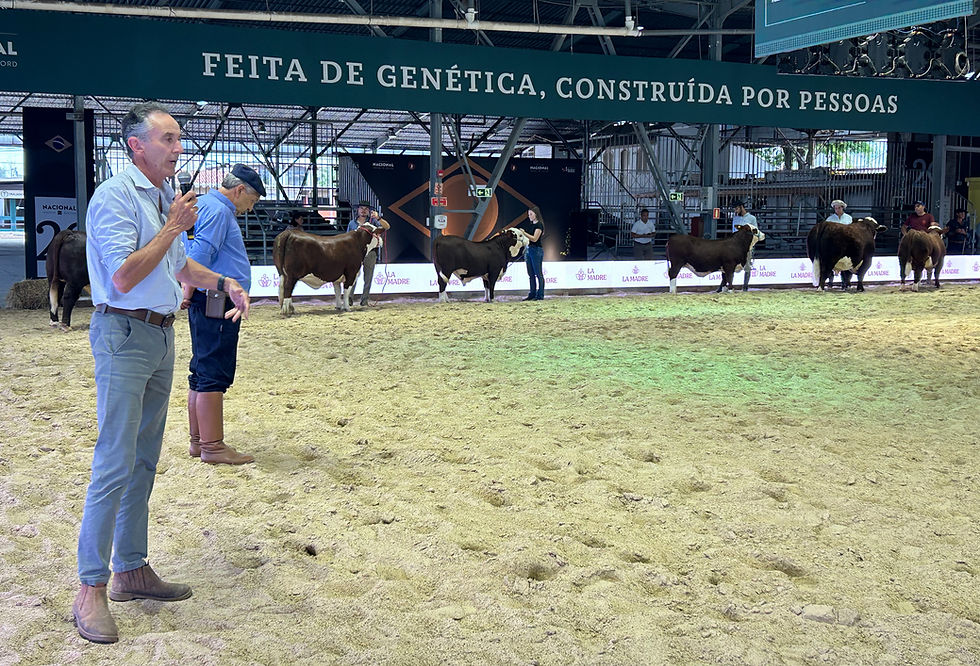 Julgamento na prática: curso da ABHB encerra com leitura de pista