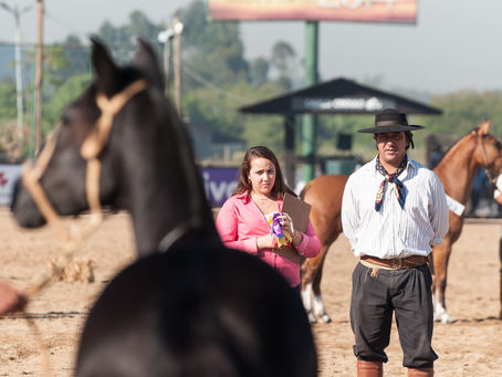 Alto padrão deve marcar Final Nacional da Morfologia na Expointer