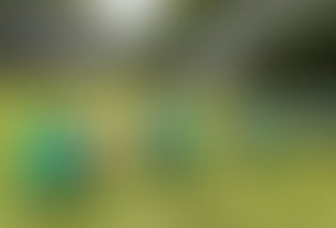 Circuito de verão da ovinocultura gira R$ 5 milhões no Estado