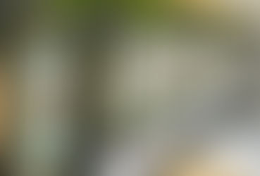 Presença no South Summit coloca azeite do RS em vitrine global