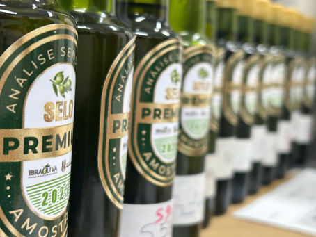 Presença no South Summit coloca azeite do RS em vitrine global