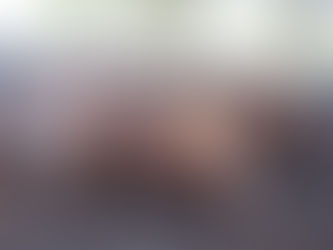 Remates da Conexão Delta G superam expectativas na Temporada de Outono