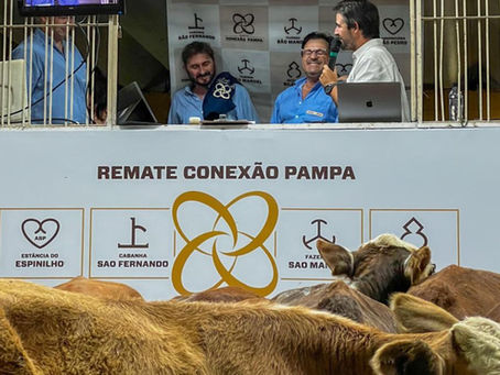 Remates da Conexão Delta G confirmam alta no mercado e valorização de genética superior