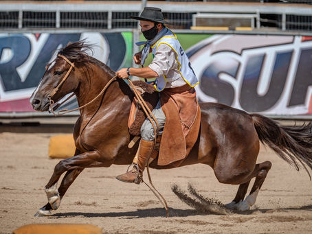 Melhores domadores do ano são premiados na final em Esteio