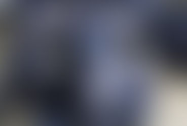 Em Botucatu: Buffalo Day reúne cadeia produtiva da bubalinocultura