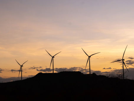Farm Show: produtores discutem energia eólica e projeto Torquato Severo