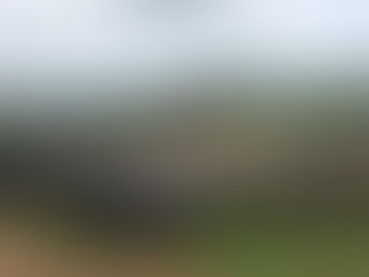 +300%: cidade paulista faz leite de búfala saltar para R$ 13,20/litro