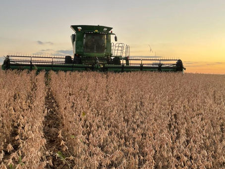 Custos das culturas de soja e milho sobem acima de 25% na próxima safra