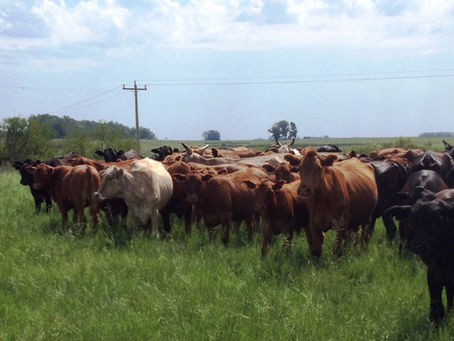Vendas aquecidas no Outono trazem otimismo do mercado para a Primavera
