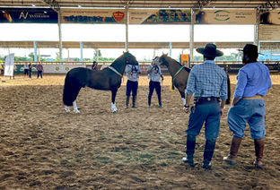 Mancha Crioula define data, muda de cenário e aposta em novo público