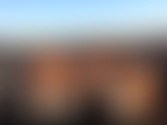 Tarifaço, clima e mercado: o que sustentou os preços dos remates em 2025