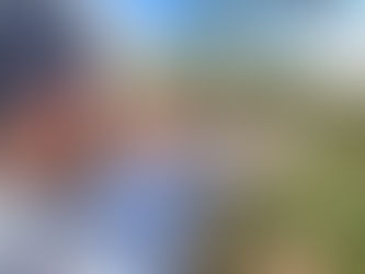 Triunfo: colheita de oliva projeta recorde de 1 milhão de litros