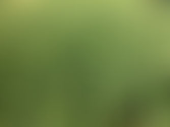 Contratos de exportação garantem venda de 360 mil toneladas do trigo gaúcho