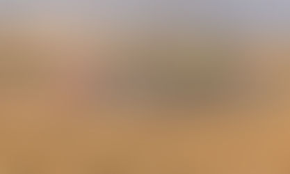 Trigo encerra colheita no Rio Grande do Sul com crescimento de 25,4%