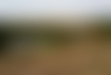 Novo Funrural já vale em abril: quem paga essa conta?