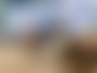 Prova que apontará futuros ginetes do Cavalo Crioulo acontecerá na 47ª Expointer