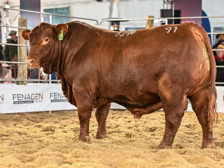 Centrais buscam na Fenagen reprodutores para inseminação artificial