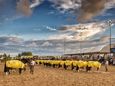 Prévia FICCC tem quatro concorrentes por vaga e 50% deles são inéditos