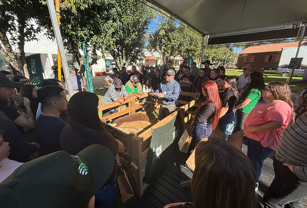 Diferenciais no tratamento das ovelhas são destacados em aula com teoria e prática oferecida pelo Senar na Fenovinos (Foto: Stéphany Franco/AgroEffective)