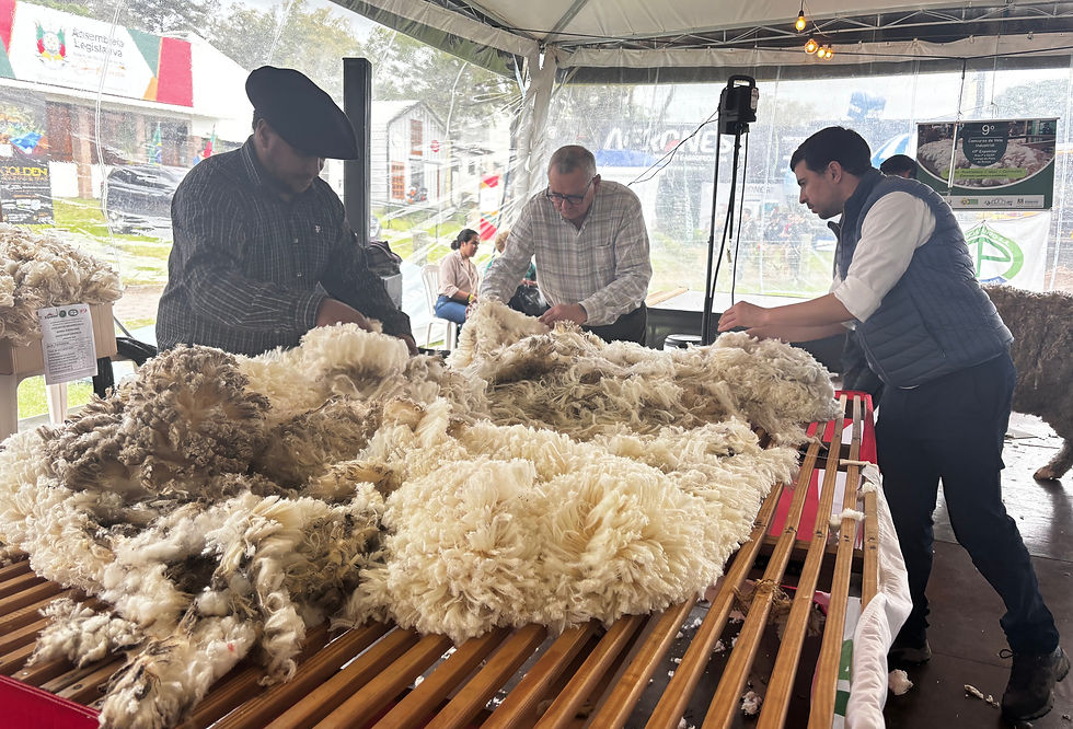 Jurado uruguaio reforça importância de indicadores técnicos para melhorar a produção e buscar preços mais justos (Foto: Leonardo Silva/AgroEffective)