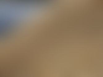 R$ 62 por saca: tradings aceleram saída da safra passada de arroz