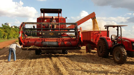 FecoAgro/RS orienta sobre comercialização da soja