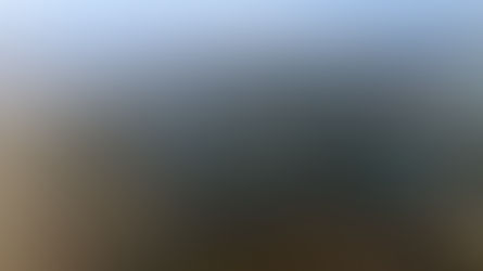 Cooperativas agropecuárias gaúchas realizam missão no Vale do Silício