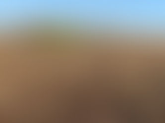 Custos para produção de soja e milho apresentam forte alta