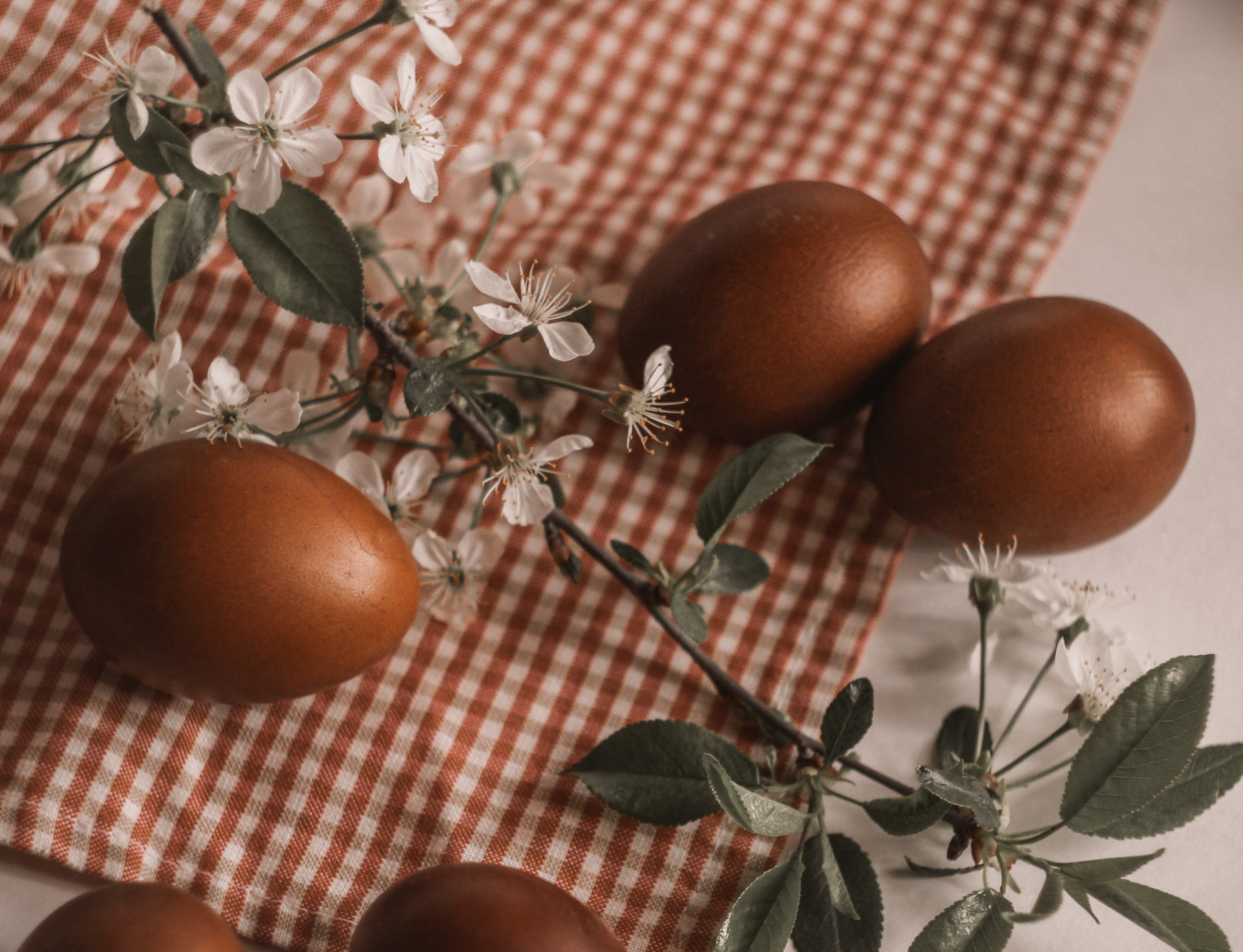 easter-brunch-dinner-tryst-restaurant