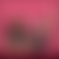 Women's Rights Are Human Rights