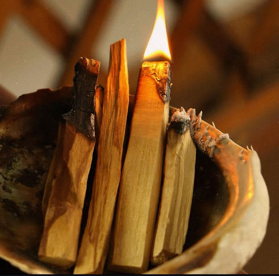 Thumbnail: Sage Stick & Palo Santo(Large)