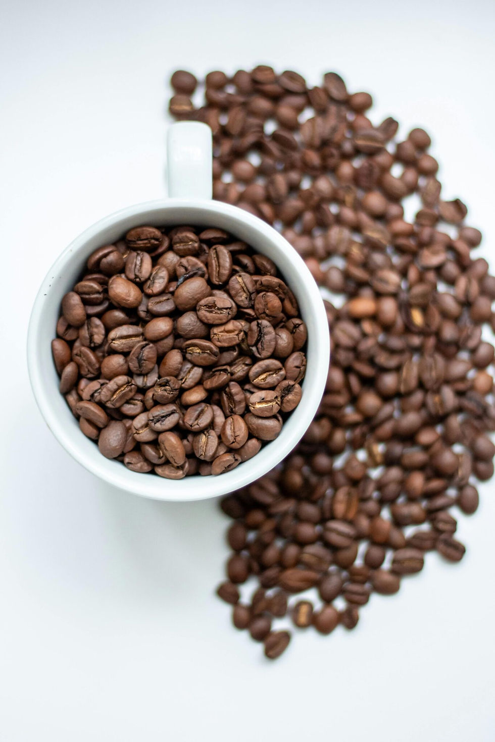 coffee beans.jpg