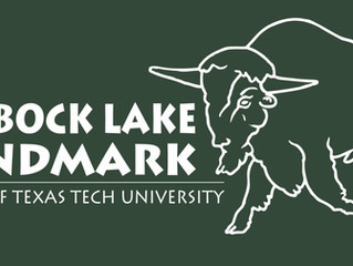 Featured Grant Story: TTU Lubbock Lake Landmark