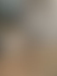 CFWT Grant Story: Ringtail Ranch Lemur Rescue