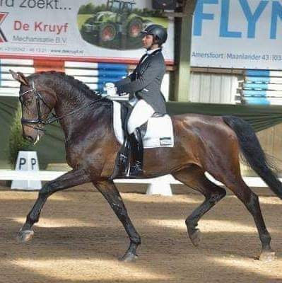 P.O.D. Test via dressuuronline.nl