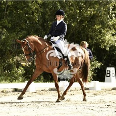 KIMBERLY VAN HOENDERDAAL