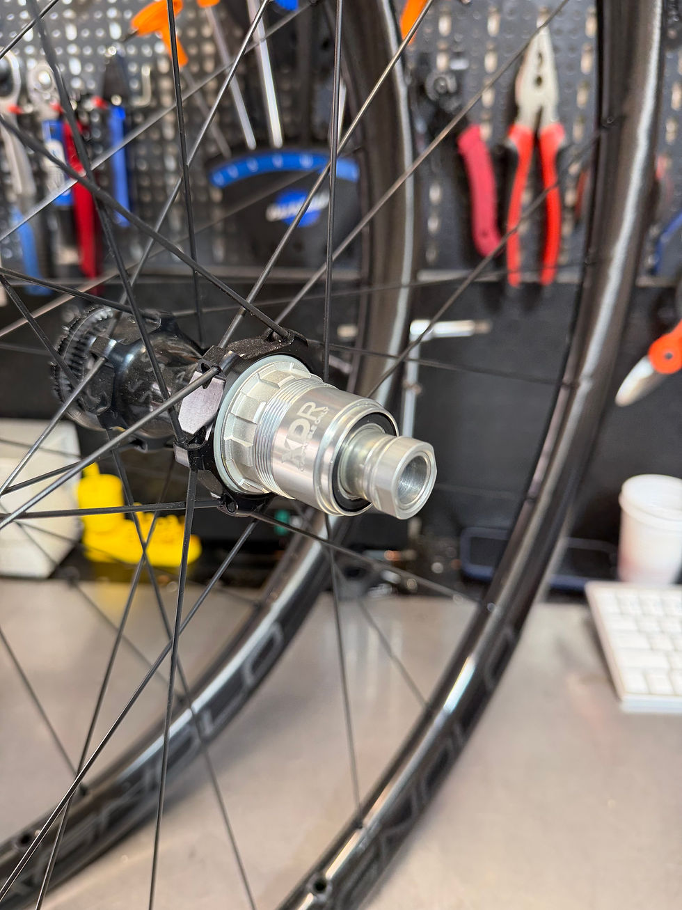 Miniaturbild: Campagnolo Levante ruote gravel in carbonio con profilo 30 mm, canale interno 25 mm, tubeless e corpetto SRAM XDR, disponibil