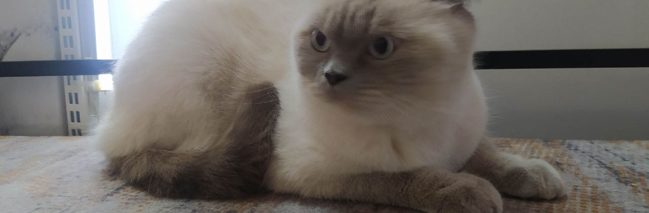 photo_2022-08-22 16.54.27.jpeg