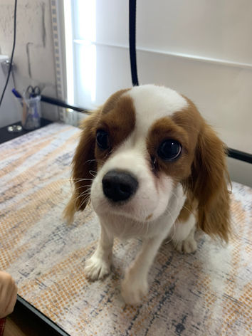 0-02-05-852c8568e4b5be50d4a4676ae23c47e6acbce4b1be978a3fb921f23bafaec208_1c6dabc476c852.jp